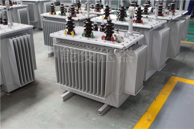 日喀则S22-250KVA/10KV变压器